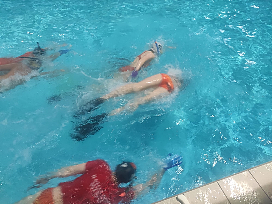 Hokej pod wodą Walenie Siemianowice Śląskie Trening 4 III 2023. Koniec Walenia czyli Amatorska Liga Hokeja Pod Wodą